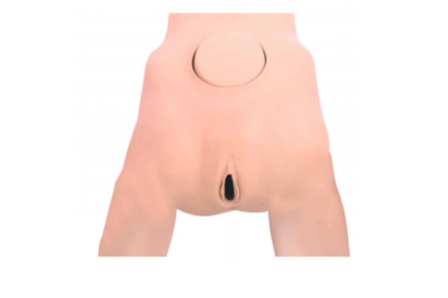 Pelvic Measurement Model